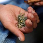 ماده مخدر اسپایس