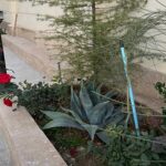 کلینیک ترک اعتیاد بانوان تهران 1